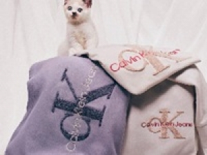 アパレル未経験歓迎【繁忙期・SALE販売応援】12/1～1/31 ＜Calvin Klein (カルバンクライン)　札幌ステラプレイス＞アンダーウエア、フレグランスも人気！アパレル販売◇時給1450～1500円＋交通費 / 週払いOK / 制服貸与 / 学生.20代.30代男女スタッフさん活躍中！＜専用フォーム返信＆オンラインで簡単登録＞tan-A-sale-ck