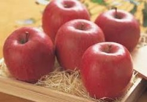 大人気の青葉台&times;1350円フルーツ販売！