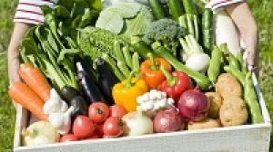 【正社員】スーパーマーケット＜オオゼキ＞首都圏を中心に展開■看板部門！青果担当・経験者募集！ / 神奈川エリア店舗■月給25万円～ / 昇給・賞与・業績賞与 / 各種手当・社保完備 / 希望シフト・公休が取りやすい環境！■20代～40代前半男女活躍中！　OT-T-oze-seika