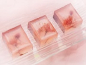 【未経験OK】即日～長期＜東京大丸＞新感覚の和菓子販売◇時給1450～1550円＋交◇京都発！定番和菓子から現代アレンジしたものまで和菓子の新しい魅力が沢山◇20代.30代.40代.50代女性スタッフさん活躍中◇社保完備 / 週払いOK＜専用フォーム返信＆オンラインで簡単登録＞FD-T-tsuru②-d