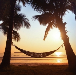 ■長期■時給1500～1600円+交通費支給■＜神戸三田プレミアムアウトレット＞カルフォルニアらしいリラックス感のある上質なカジュアルを展開するブランド■レディース＆メンズのアパレル販売【週払いOK・制服貸与・20代,30代女性スタッフ活躍中・スタート日ご相談ください】＜専用フォームの返信＆LINEビデオで簡単登録＞ AP-K-Ron