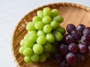 大人気の青葉台×1350円フルーツ販売!