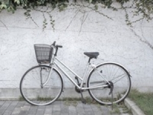 即日～1ヶ月短期・週3～5日【サイクルショップで販売アシスタント】＜ダイワサイクル　幸店 (神奈川)＞自転車知識はなくてもOK！ご希望をヒアリング後&rarr;社員さんへバトンタッチ♪ レジ無し◇高時給1800円＋交/ 週払いOK / 週3～相談OK / 月給例31万円 / 接客販売経験があればエントリーOK / デニム&amp;スニーカーOK / 学生.20代.30代.40代.50代男女活躍中！書類選考のみ＜専用フォームの返信＆オンラインで簡単登録＞tan-O-da-kanagawa