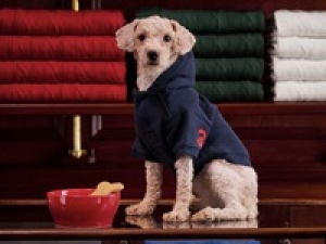 【women&#039;s / men&#039;s / kids】8/1～8/30【 Polo Ralph Lauren(ポロラルフローレン) 　グランツリー武蔵小杉】誰もが見たことのあるロゴマークが有名！アメリカを代表する有名ブランドでアパレル販売＜メンズ＞時給1500円+交通費 / 週払いOK / シンプルな私服or制服貸与 / ナチュラルネイルOK / 20代.30代.40代.50代前半男女スタッフさん活躍中！＜専用フォームの返信＆オンラインで登録OK＞tan-A-Rah（Combine）